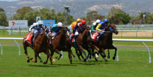 horse race